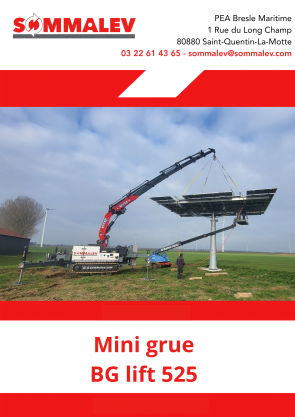 mini_grue_bg_lift