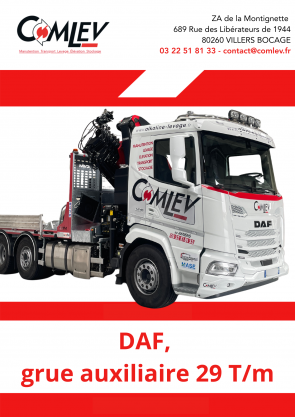 DAF, grue auxilliaire 29T/M