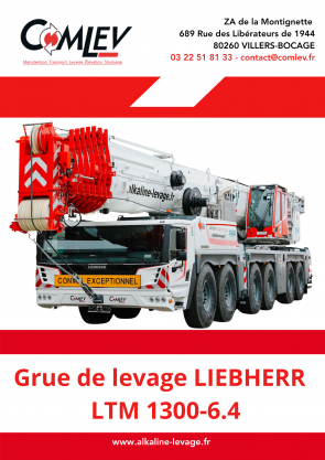Grue 300T LIEBHERR